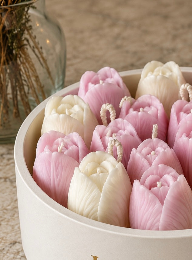 Vela Tulipa Bloom